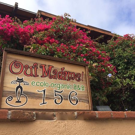 B&B Oui Madame Tijuana Bagian luar foto