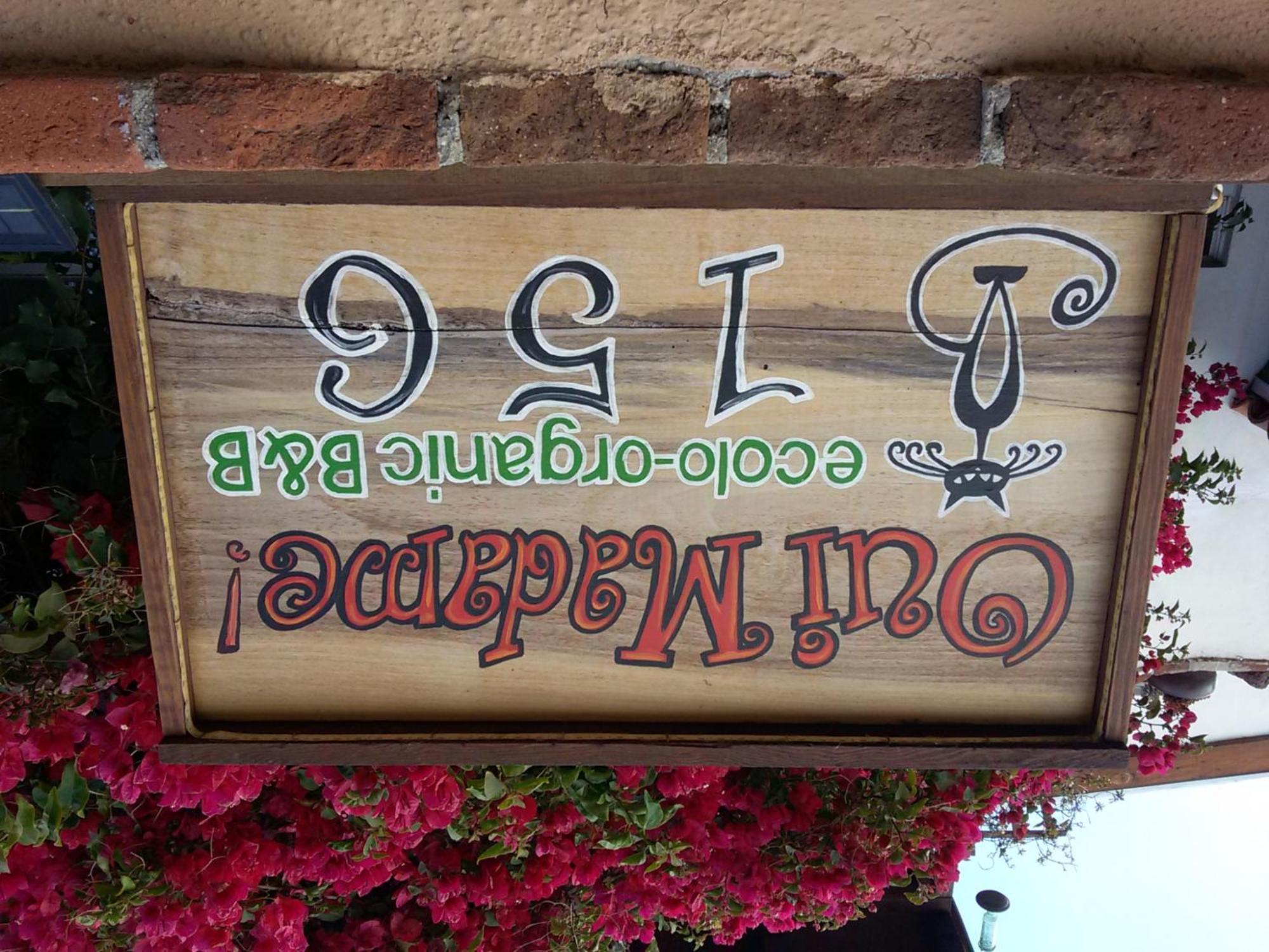 B&B Oui Madame Tijuana Bagian luar foto