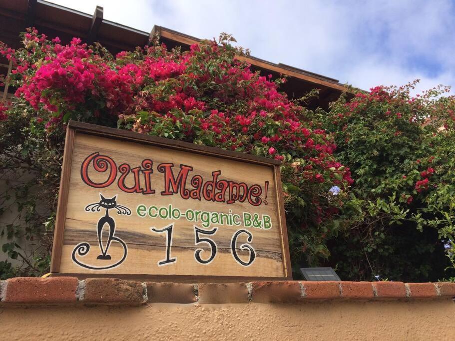 B&B Oui Madame Tijuana Ruang foto